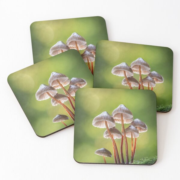 Item preview, Clustered Bonnet mushrooms designed and sold by Tony North.