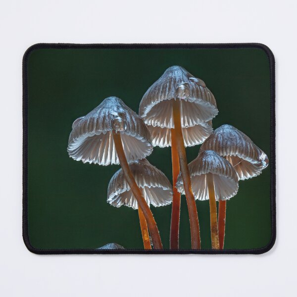 Item preview, Clustered Bonnets designed and sold by Tony North.