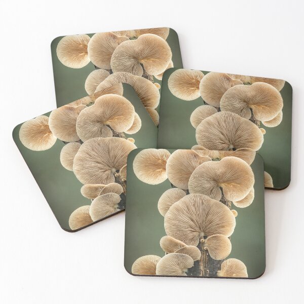 Item preview, Oysterlings designed and sold by Tony North.