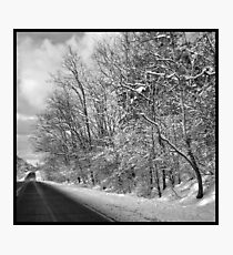 After a spring snowstorm Photographic Print