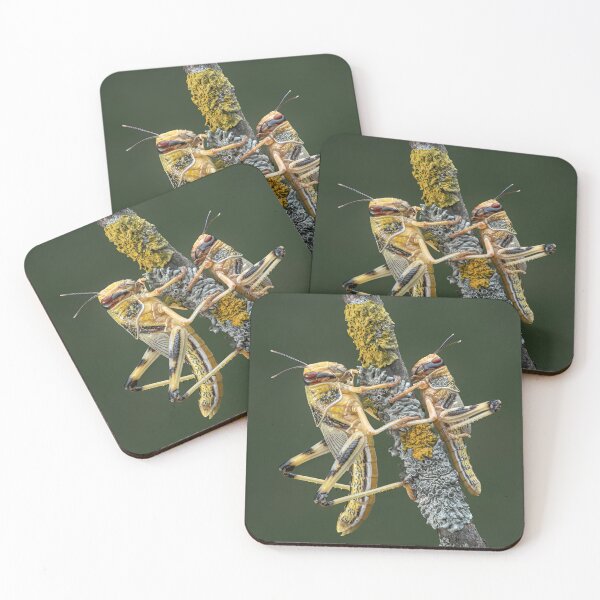 Item preview, Desert Locusts designed and sold by Tony North.