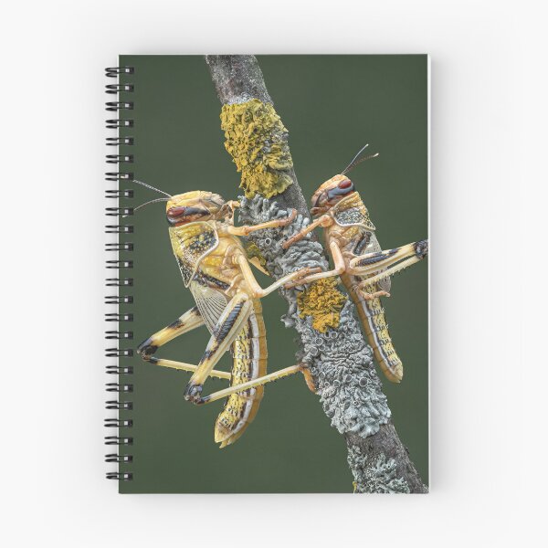 Item preview, Desert Locusts designed and sold by Tony North.