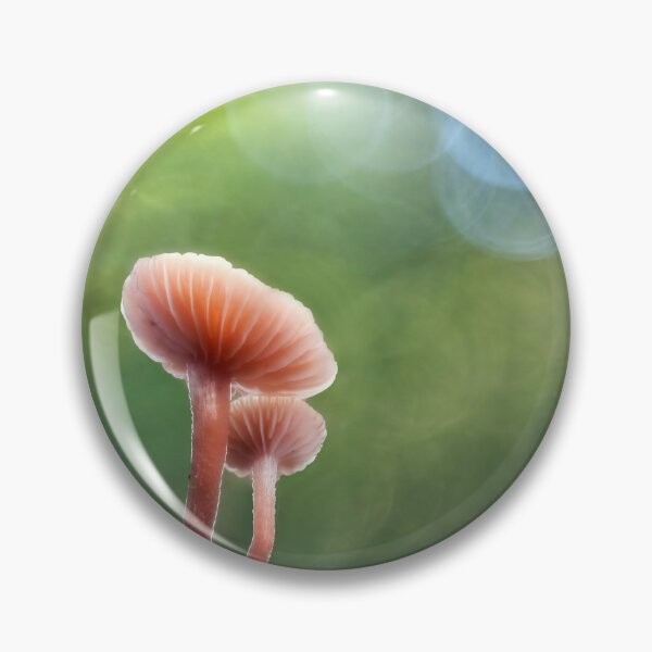 Item preview, Mushrooms in soft focus designed and sold by Tony North.