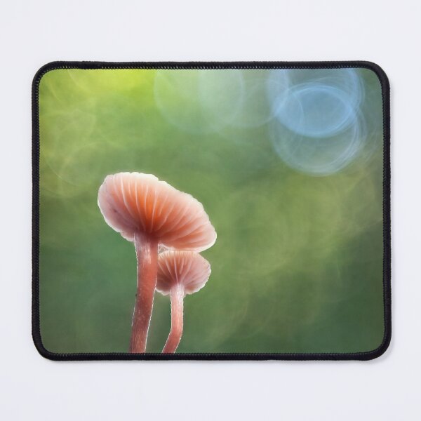 Item preview, Mushrooms in soft focus designed and sold by Tony North.