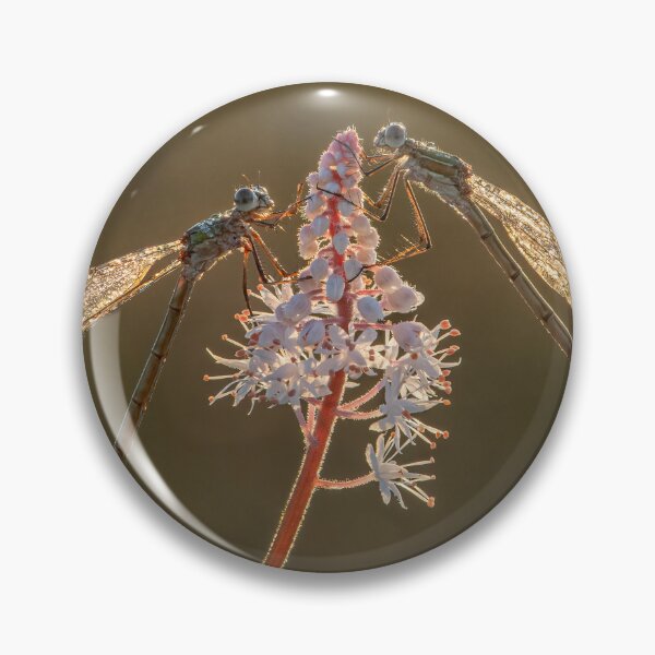 Item preview, Emerald Damselflies designed and sold by Tony North.