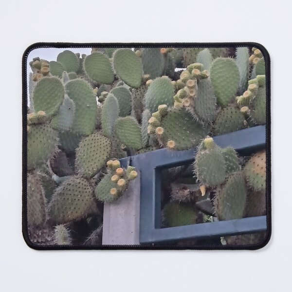 Item preview, Prickly Cactus designed and sold by SamoSanjalica.