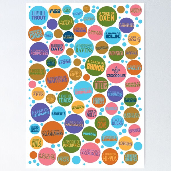 Item preview, Animal Group Terminology - Circles for Kids designed and sold by Mikael Colville-Andersen.
