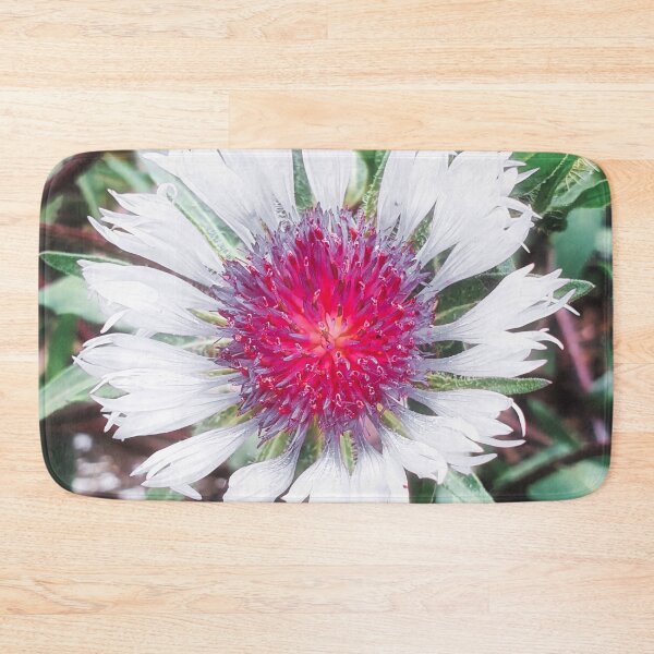 Item preview, Knapweed Centaurea Pullata Blossom designed and sold by Marco Sales.