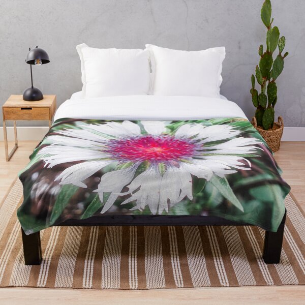 Item preview, Knapweed Centaurea Pullata Blossom designed and sold by Marco Sales.