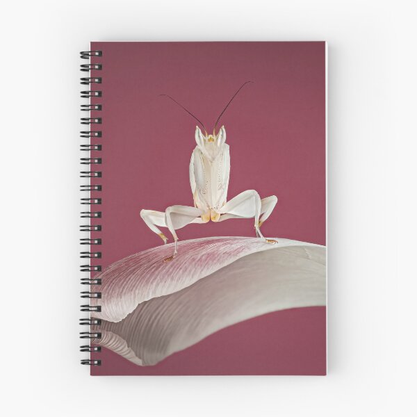 Item preview, praying mantis on a petal designed and sold by Tony North.