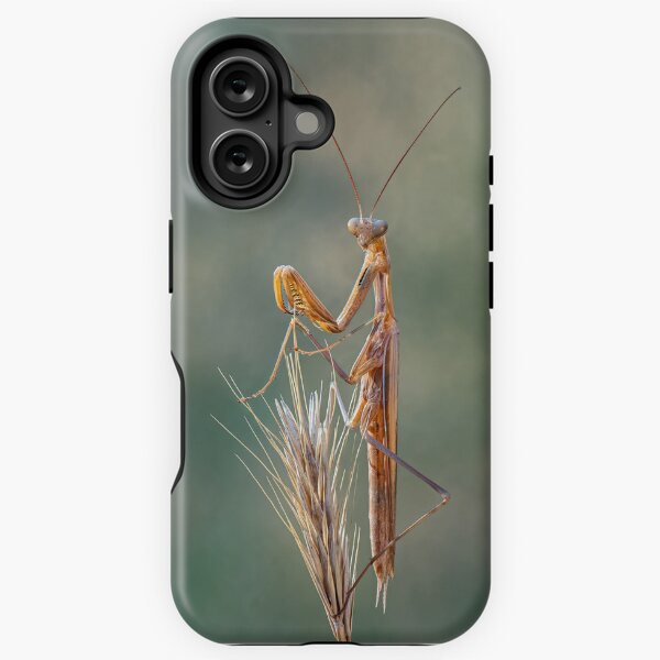 Item preview, European Praying Mantis designed and sold by Tony North.