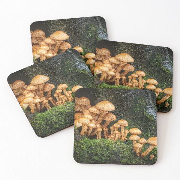 Item preview, Shaggy Scalycap mushrooms designed and sold by Tony North.