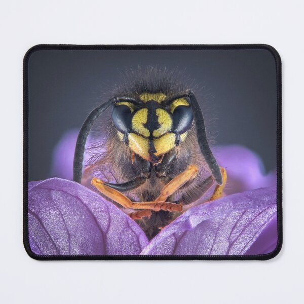 Item preview, Wasp on a geranium designed and sold by Tony North.