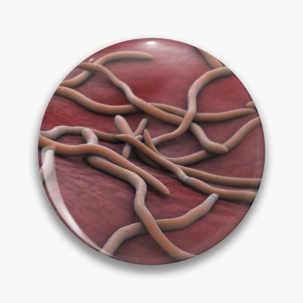 Item preview, STK701337H-Abstract image of Borrelia burgdorferi. designed and sold by StocktrekImages.