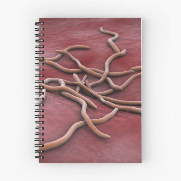 Item preview, STK701337H-Abstract image of Borrelia burgdorferi. designed and sold by StocktrekImages.