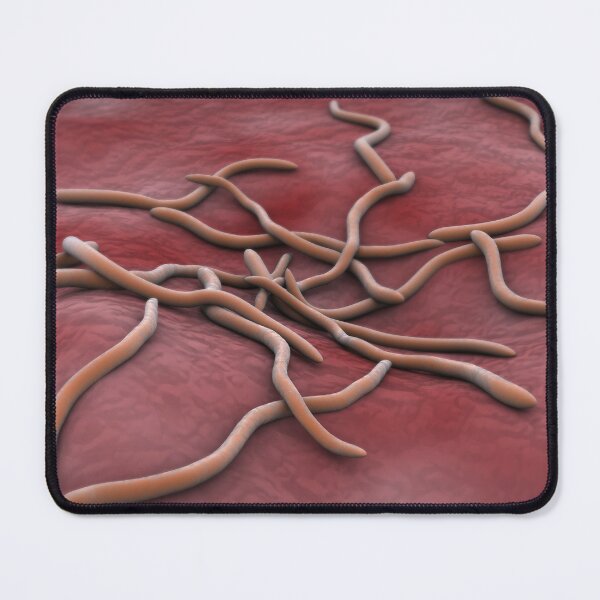 Item preview, STK701337H-Abstract image of Borrelia burgdorferi. designed and sold by StocktrekImages.