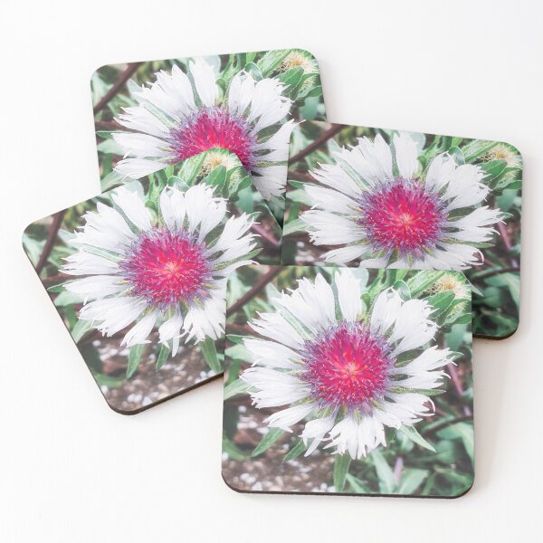Item preview, Knapweed Centaurea Pullata Blossom designed and sold by Marco Sales.