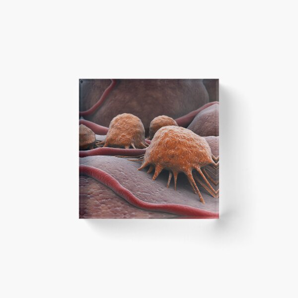 Item preview, STK701338H-Abstract image of cancer virus. designed and sold by StocktrekImages.