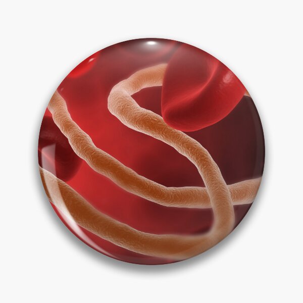 Item preview, STK701340H-Ebola virus with blood cells. designed and sold by StocktrekImages.
