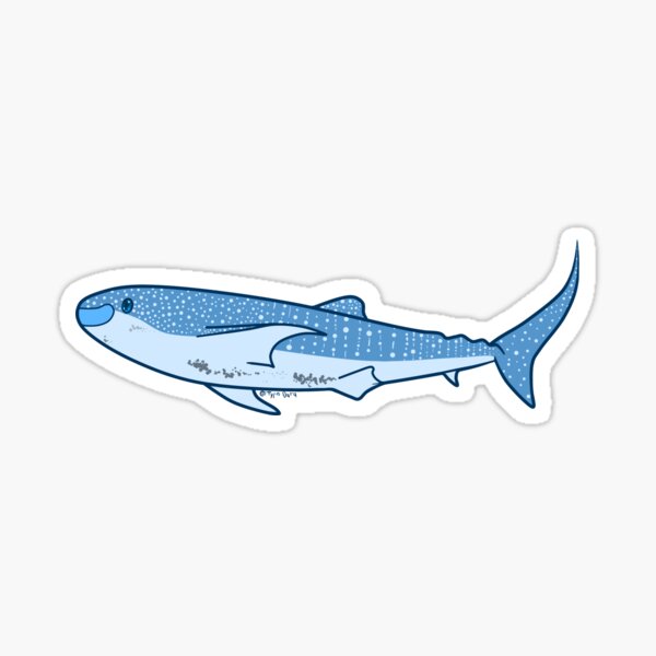 Free Free 214 Whale Shark Svg SVG PNG EPS DXF File