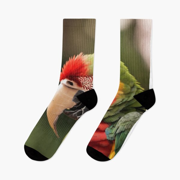 Item preview,  smiling parrot with a big face designed and sold by MPDesign84.