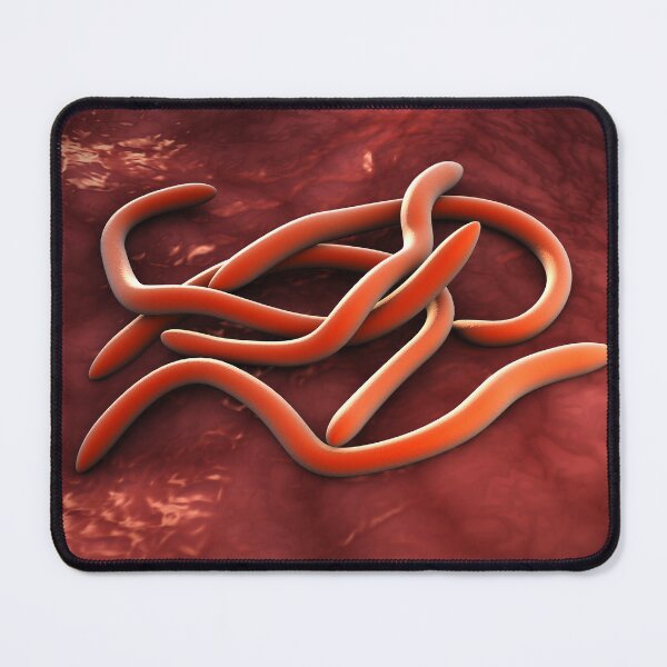 Item preview, STK701341H-Abstract image of fusobacteria. designed and sold by StocktrekImages.