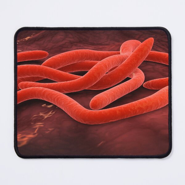 Item preview, STK701342H-Abstract image of fusobacteria. designed and sold by StocktrekImages.