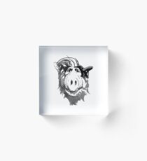 alf face Acrylic Block