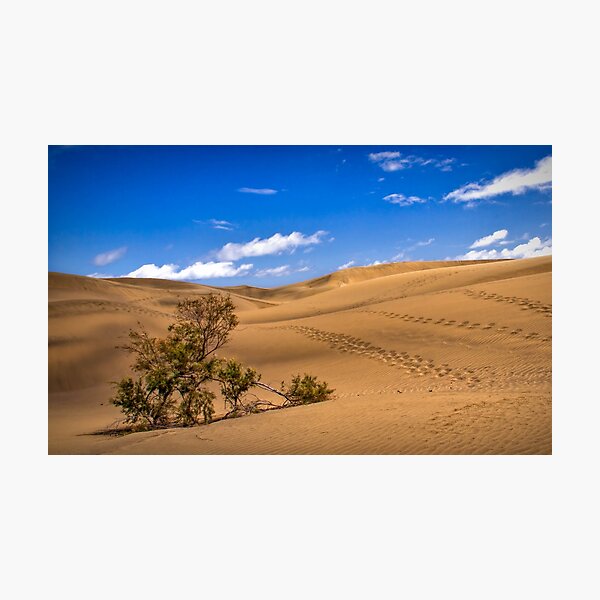 Item preview, Footprints in the sand designed and sold by Viv Thompson Photography .
