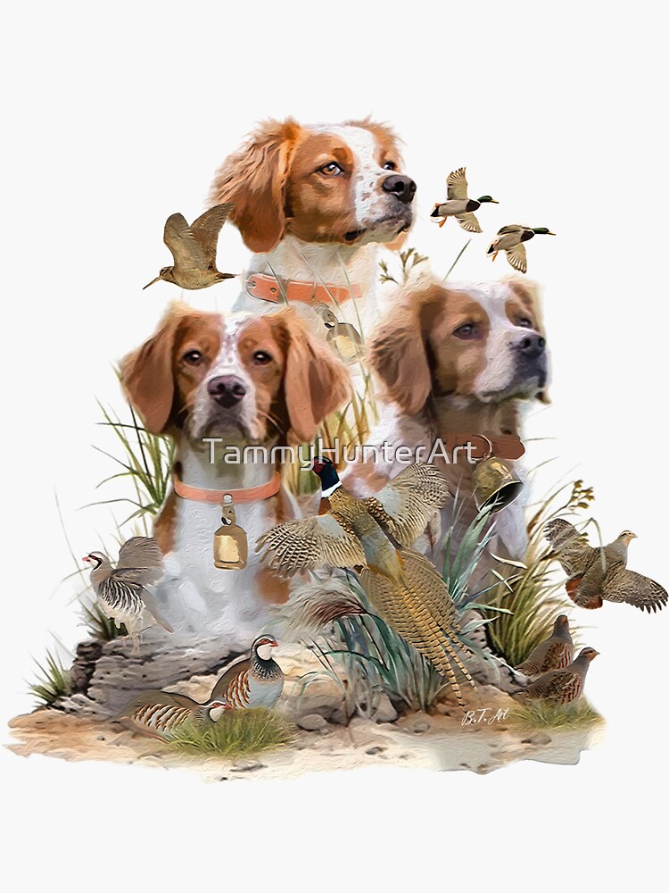 Brittany Spaniel Passion for Birds