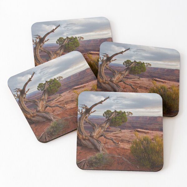 Item preview, A Soulful Encounter At Dead Horse Point ©   designed and sold by © Hany G. Jadaa © Prince John Photography.