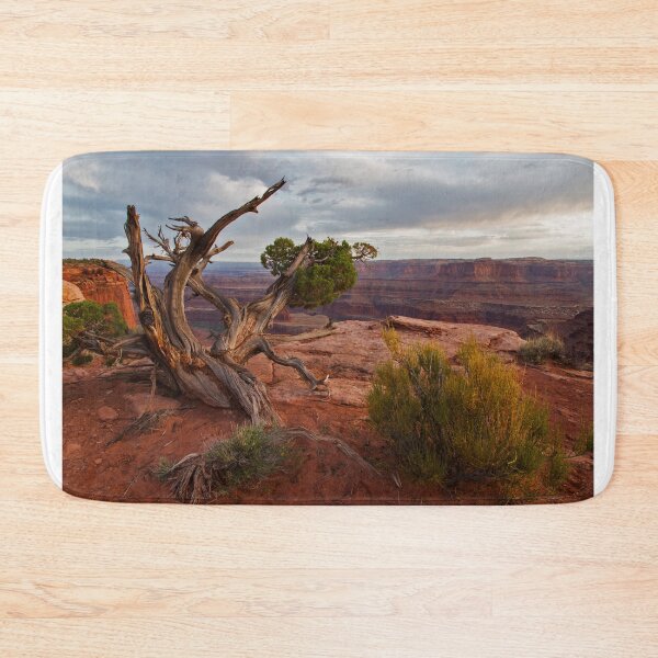 Item preview, A Soulful Encounter At Dead Horse Point ©   designed and sold by © Hany G. Jadaa © Prince John Photography.