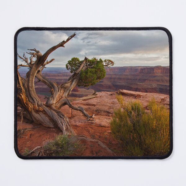 Item preview, A Soulful Encounter At Dead Horse Point © designed and sold by © Hany G. Jadaa © Prince John Photography.