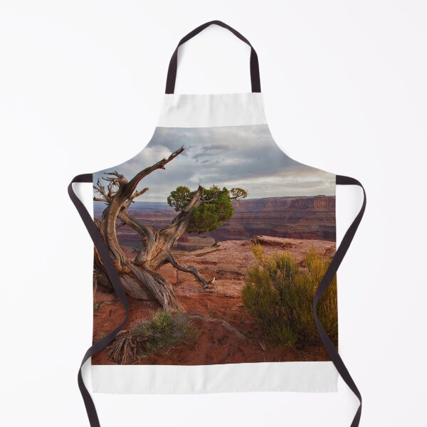 Item preview, A Soulful Encounter At Dead Horse Point ©   designed and sold by © Hany G. Jadaa © Prince John Photography.