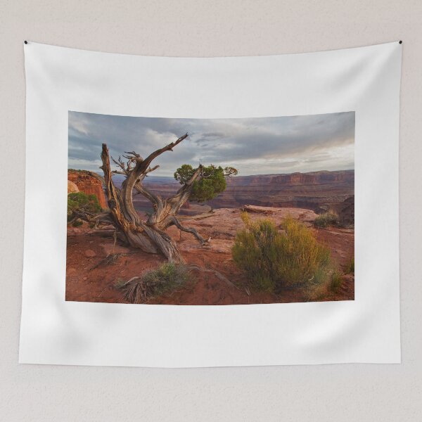 Item preview, A Soulful Encounter At Dead Horse Point ©   designed and sold by © Hany G. Jadaa © Prince John Photography.