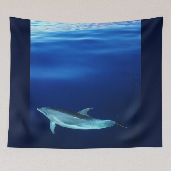 Item preview, Dolphin and blues designed and sold by Chloé Yzoard.