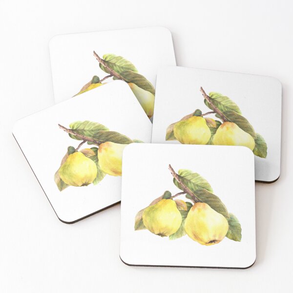 Item preview, Watercolor hand drawn branch of quince fruits with leaves. Сlipart sticker designed and sold by BartolArt.