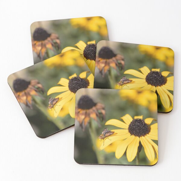 Item preview, Black-eyed Susan and Fly designed and sold by Calidris Fotografie Steffi & Ben Köppler.
