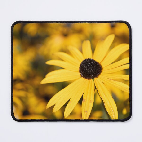 Item preview, Black-eyed Susan designed and sold by Calidris Fotografie Steffi & Ben Köppler.