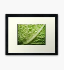 Herbaceous Framed Print