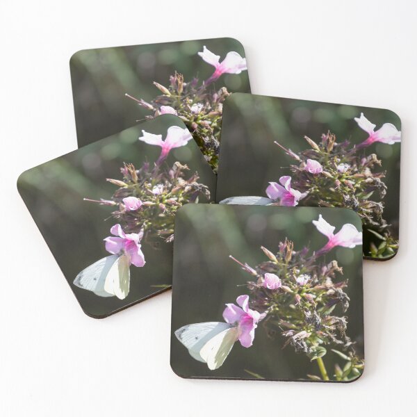 Item preview, Cabbage Butterfly designed and sold by Calidris Fotografie Steffi & Ben Köppler.