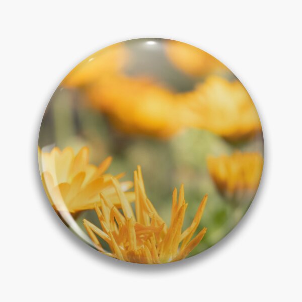 Item preview, Pot Marigold designed and sold by Calidris Fotografie Steffi & Ben Köppler.