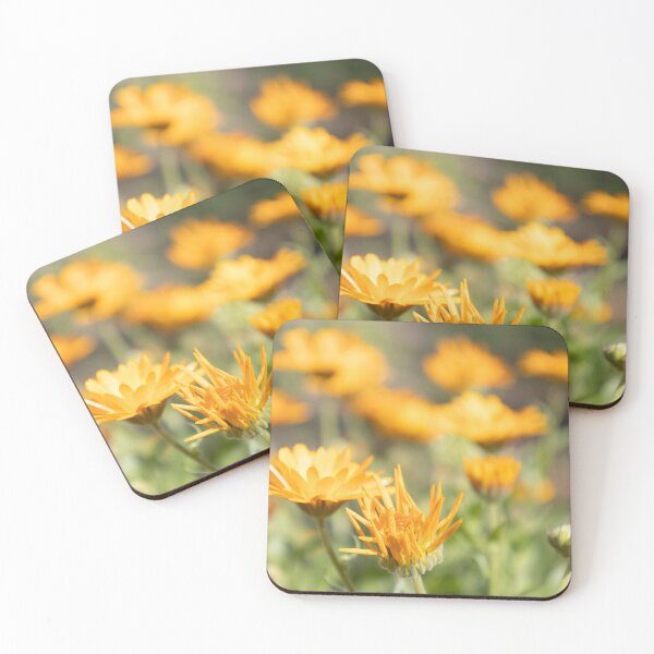 Item preview, Pot Marigold designed and sold by Calidris Fotografie Steffi & Ben Köppler.