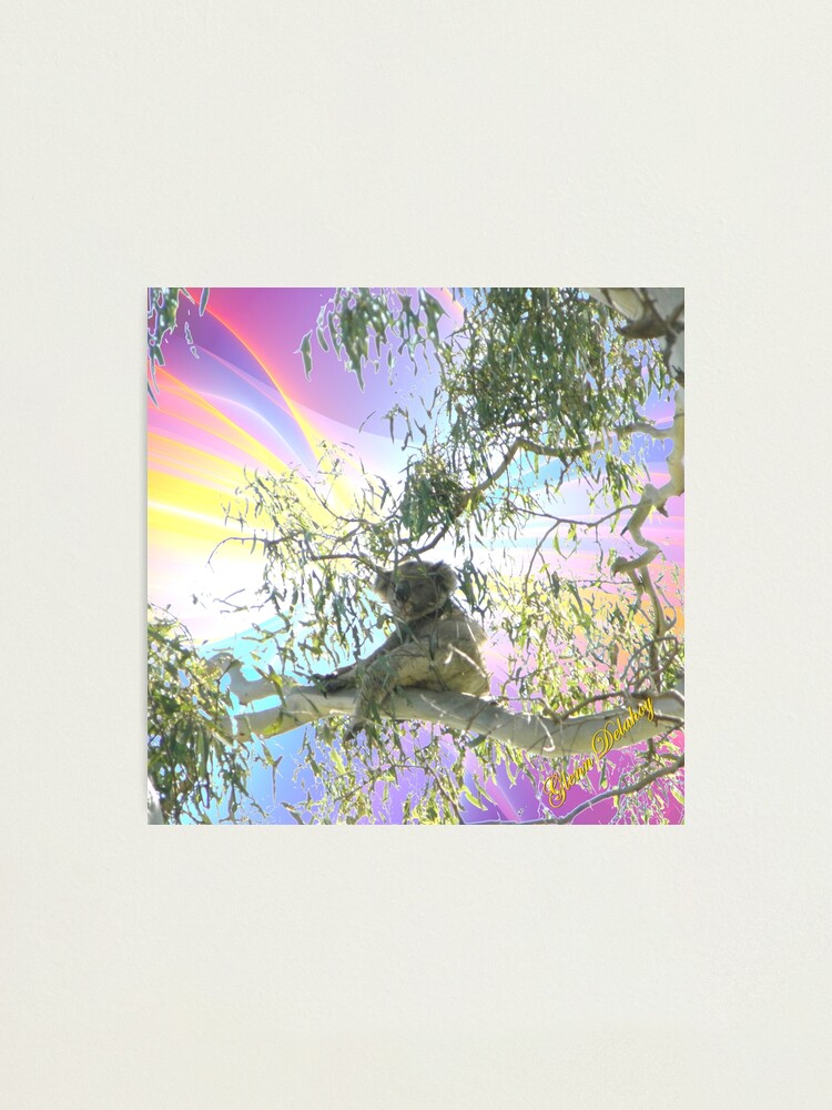Thumbnail 1 of 3, Photographic Print, Fugue designed and sold by GlennDelahoy.