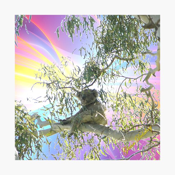Photographic Print