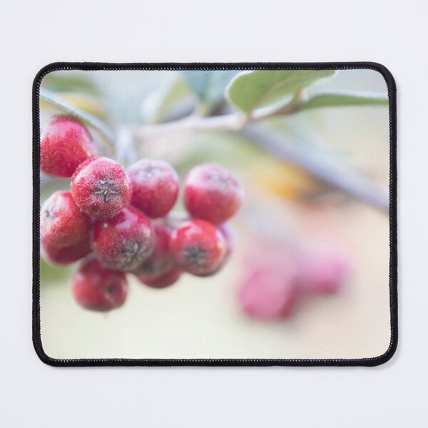 Item preview, Red Berries designed and sold by Calidris Fotografie Steffi & Ben Köppler.