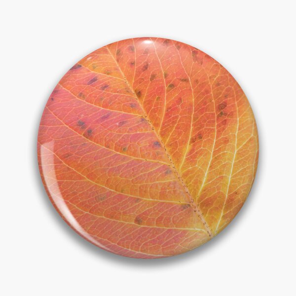 Item preview, Leaf designed and sold by Calidris Fotografie Steffi & Ben Köppler.