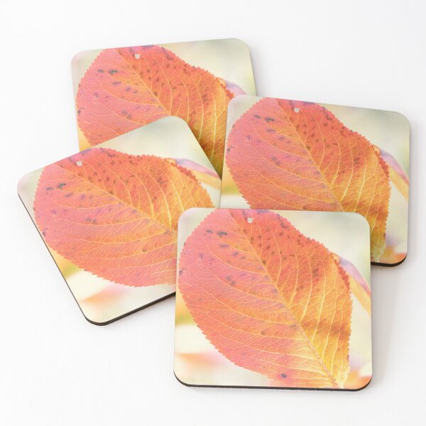 Item preview, Leaf designed and sold by Calidris Fotografie Steffi & Ben Köppler.