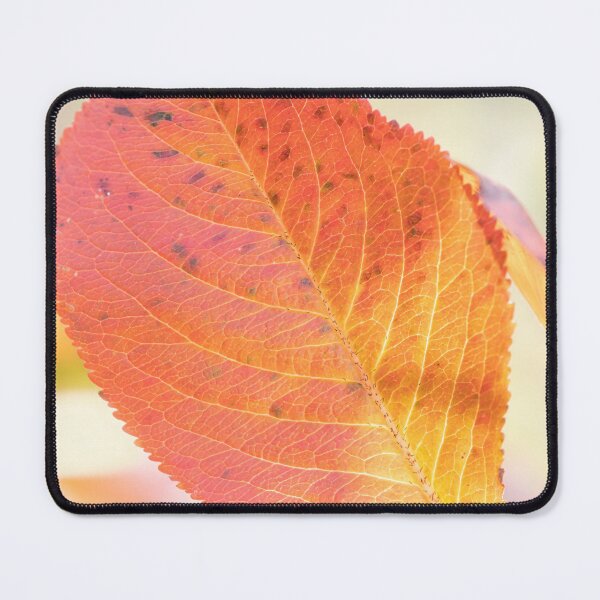 Item preview, Leaf designed and sold by Calidris Fotografie Steffi & Ben Köppler.