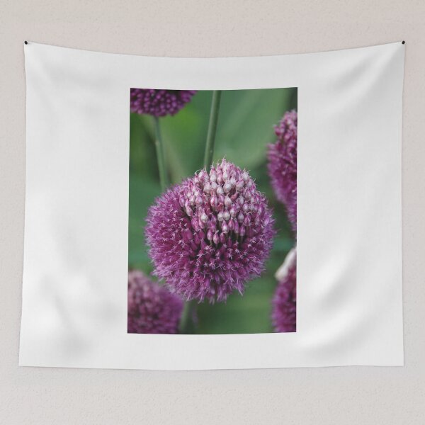 Item preview, Garden Allium designed and sold by lezvee.